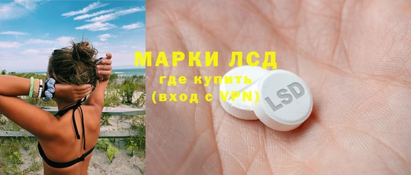 ПСИЛОЦИБИНОВЫЕ ГРИБЫ Арсеньев