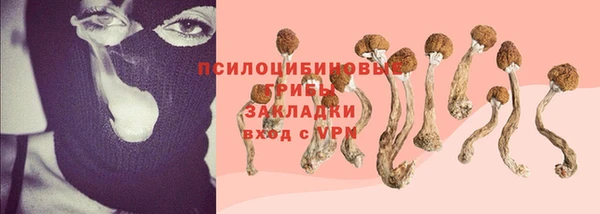 ПСИЛОЦИБИНОВЫЕ ГРИБЫ Арсеньев