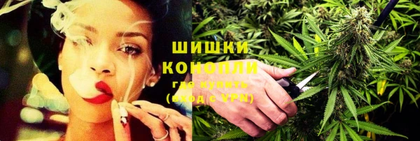 ПСИЛОЦИБИНОВЫЕ ГРИБЫ Арсеньев