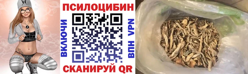 это Telegram Никольск Галлюциногенные грибы мухоморы наркошоп